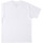 Vêtements Homme T-shirts & Polos DC Shoes Sport Circle Blanc