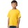 Vêtements Enfant T-shirts manches courtes Gildan 65000B Multicolore