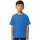 Vêtements Enfant T-shirts TJM manches courtes Gildan 65000B Bleu