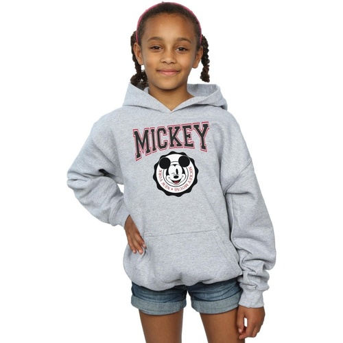 Vêtements Fille Sweats Disney Mickey Mouse New York Seal Gris