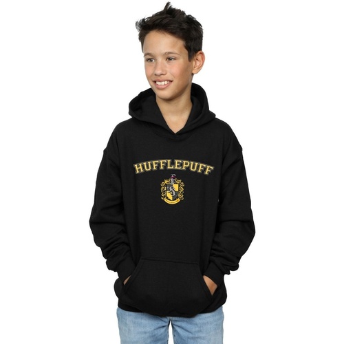 Vêtements Garçon Sweats Harry Potter Hufflepuff Crest Noir