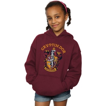 Vêtements Fille Sweats Harry Potter  Multicolore