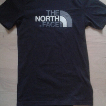 Vêtements Homme T-shirts manches courtes The North Face t-shirt Noir