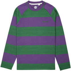 Vêtements Homme T-shirts manches longues Element Blunt 3.0 Stripe Violet