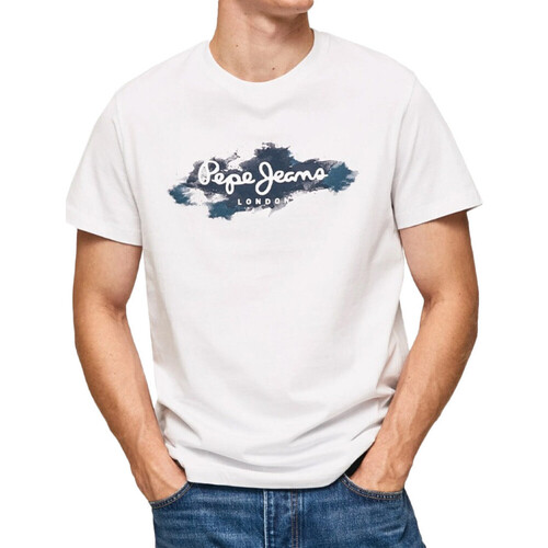 Vêtements Homme T-shirts manches longues Pepe jeans PM508675 Blanc