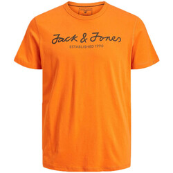 Vêtements Garçon T-shirts & Polos Jack & Jones 12216498 Orange