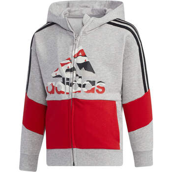 Vêtements Enfant Sweats adidas Originals LB ST FT HDY Gris