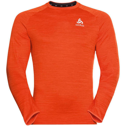 Vêtements Homme Chemises manches courtes Odlo Midlayer RUN EASY WARM Orange