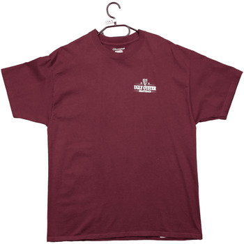 Vêtements Homme T-shirts manches courtes Champion T-shirt  Guinness Doré