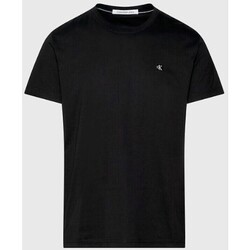 Vêtements Homme T-shirts manches courtes Calvin Klein Jeans J30J325268BEH Noir