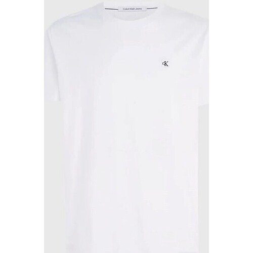 Vêtements Homme T-shirts manches courtes Calvin Klein Jeans J30J325268 Blanc