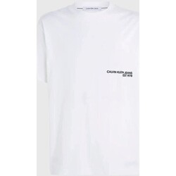 Vêtements Homme T-shirts manches courtes Calvin Klein Jeans J30J324652YAF Blanc