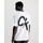 Vêtements Homme T-shirts manches courtes Calvin Klein Jeans J30J324652 Blanc