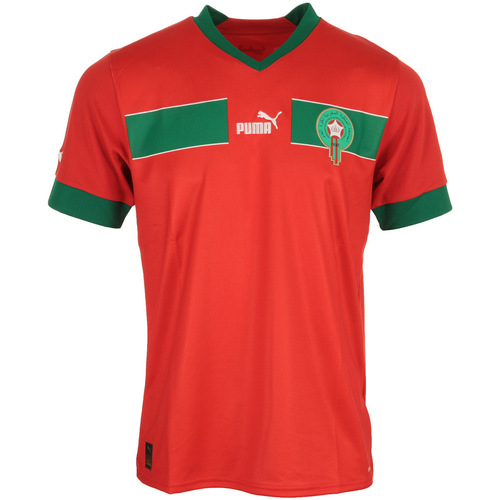 Vêtements Homme T-shirts manches courtes Puma Frmf Maroc Home Jersey Replic Rouge