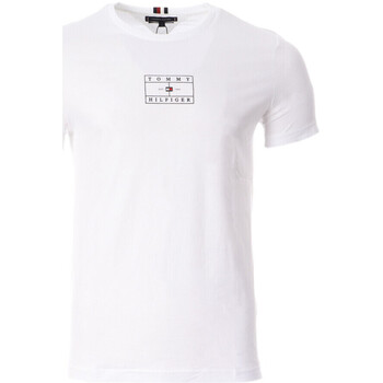 Vêtements Homme T-shirts & Polos Tommy Hilfiger XM0XM02188BDS Blanc