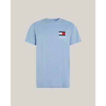 Vêtements Homme T-shirts manches courtes Tommy Hilfiger DM0DM18263C3S Bleu