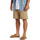 Vêtements Homme Shorts / Bermudas Quiksilver Taxer Marron