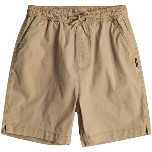 Vêtements Homme canal Shorts / Bermudas Quiksilver Taxer Marron
