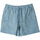 Vêtements Homme Jasmin Shorts / Bermudas Quiksilver Taxer Bleu