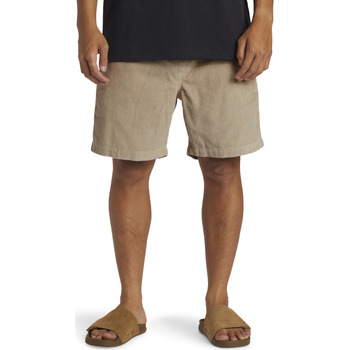 Vêtements Homme Shorts / Bermudas Quiksilver Taxer Cord Beige