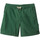 Vêtements Homme Shorts / Bermudas Quiksilver Taxer Cord Vert