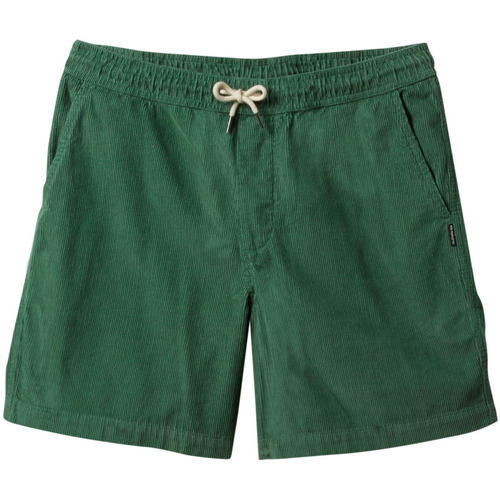 Vêtements Homme canal Shorts / Bermudas Quiksilver Taxer Cord Vert