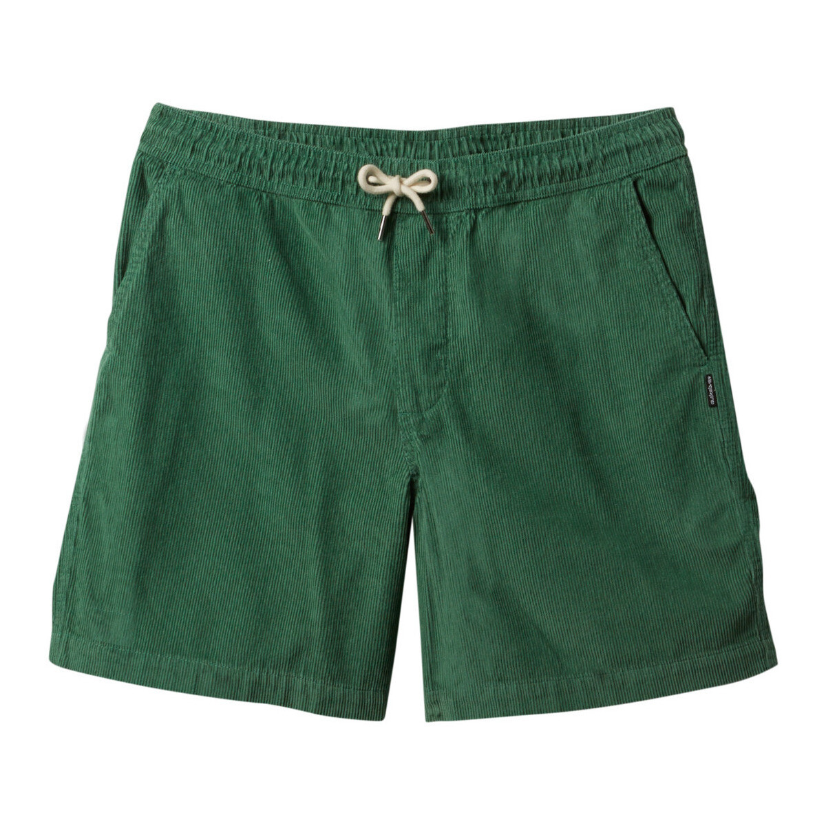 Vêtements Homme Shorts / Bermudas Quiksilver Taxer Cord Vert