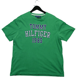 Vêtements Homme T-shirts manches courtes Tommy Hilfiger T-shirt  Custom Fit Vert