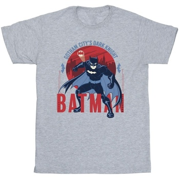 Vêtements Fille T-shirts manches longues Dc Comics Batman Gotham City Gris