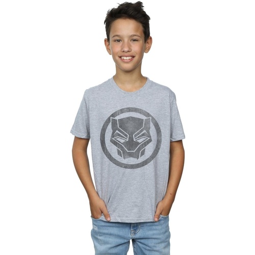 Vêtements Garçon T-shirts manches courtes Marvel Black Panther Distressed Icon Gris