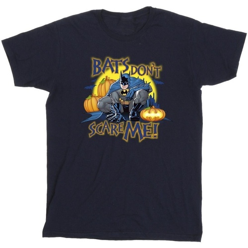 Vêtements Fille T-shirts manches longues Dc Comics Batman Bats Don't Scare Me Bleu
