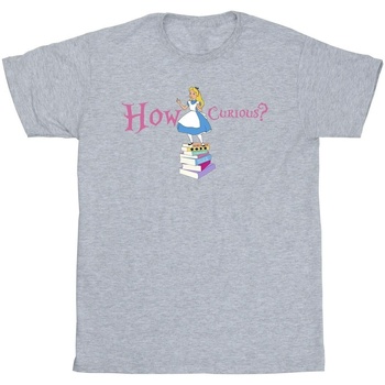 Vêtements Homme T-shirts manches longues Disney Alice In Wonderland How Curious Gris