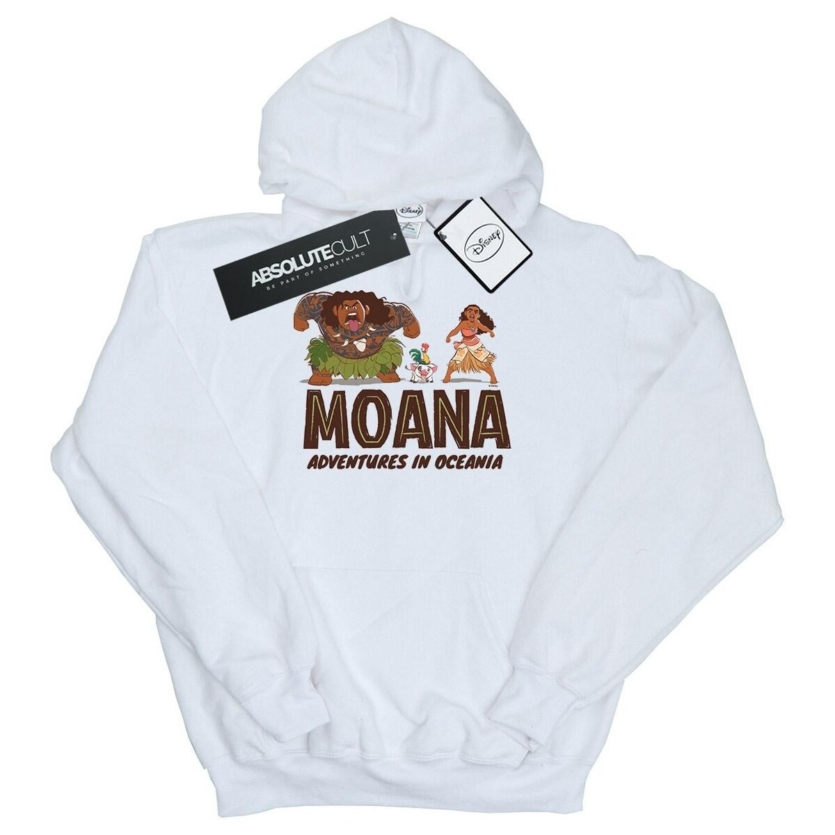 Vêtements Garçon Sweats Disney Moana Adventures in Oceania Blanc
