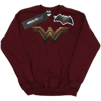Vêtements Femme Sweats Dc Comics Wonder Woman Logo Multicolore