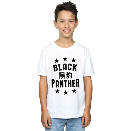 Vêtements Garçon T-shirts manches courtes Marvel Black Panther Legends Blanc