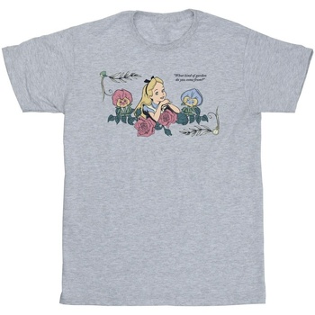 Vêtements Homme T-shirts manches longues Disney Alice In Wonderland What Kind Of Garden Gris