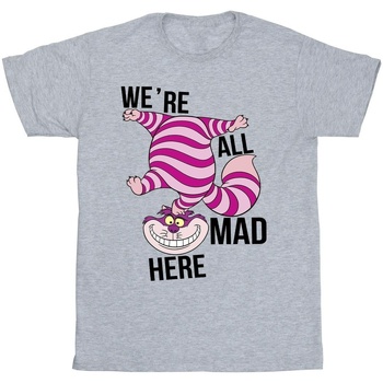 Vêtements Homme T-shirts manches longues Disney Alice In Wonderland All Mad Here Gris
