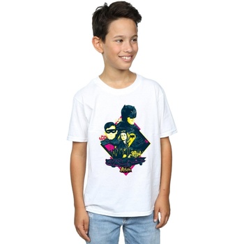 Vêtements Garçon T-shirts manches courtes Dc Comics Batman TV Series Character Pop Art Blanc