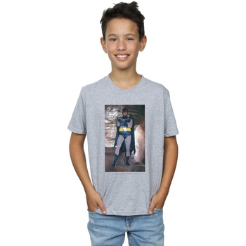 Vêtements Garçon T-shirts manches courtes Dc Comics Batman TV Series Contemplative Pose Gris