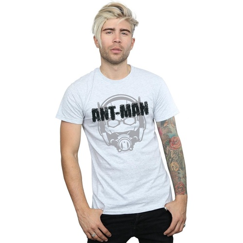 Vêtements Homme T-shirts manches longues Marvel Ant-Man Helmet Fade Gris
