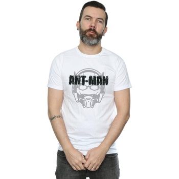 Vêtements Homme T-shirts manches longues Marvel Ant-Man Helmet Fade Blanc