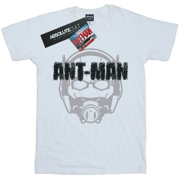 Marvel Ant-Man Helmet Fade Blanc