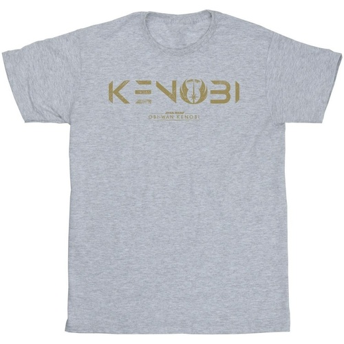 Vêtements Garçon T-shirts manches courtes Disney Obi-Wan Kenobi Logo Gris