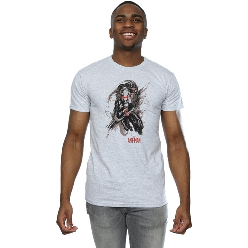 Vêtements Homme T-shirts manches longues Marvel Ant-Man Running Gris