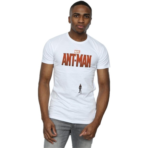 Vêtements Homme T-shirts manches longues Marvel Ant-Man Tiny Blanc