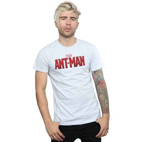 Vêtements Homme T-shirts manches longues Marvel Ant-Man Movie Logo Gris