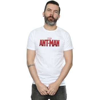 Vêtements Homme T-shirts manches longues Marvel Ant-Man Movie Logo Blanc