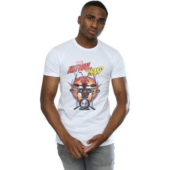 Vêtements Homme T-shirts manches longues Marvel Ant-Man And The Wasp Drummer Ant Blanc