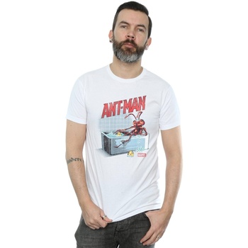 Vêtements Homme T-shirts manches longues Marvel Ant-Man And The Wasp Bathing Ant Blanc