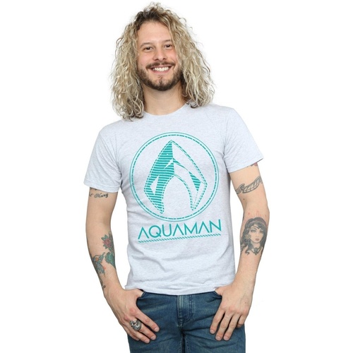 Vêtements Homme T-shirts manches longues Dc Comics Aquaman Aqua Logo Gris